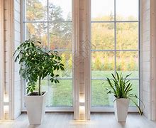 金年会入口-窗口期足总杯传出新动向，巴塞罗那官宣签约，管理层表态——气氛紧张，临场指挥获称赞